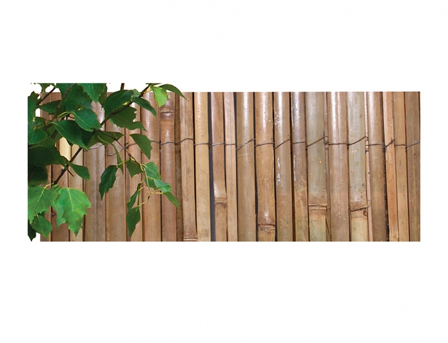 NOHEL GARDEN Rohož - bambus štípaný 1,5 x 5 m