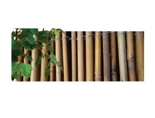 Rohož/bambus/1,5x3m