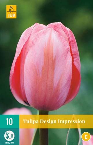 Cibule tulipánu Tulipa Design Impression - 10 kusů