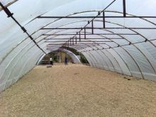 Plachty na fóliovníky čirá, 135g/m2, 6x6 m Plachty na fóliovníky čirá, 135g/m2, 6x6 m